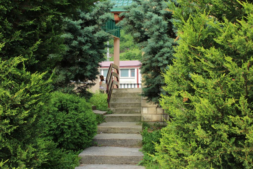 Guesthouse Eko Piva Plužine Exterior foto